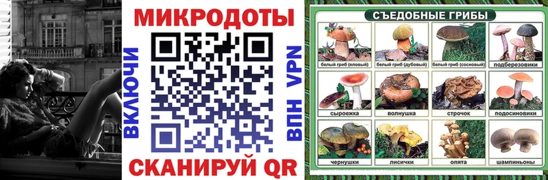 Галлюциногенные грибы Psilocybe  Южноуральск 